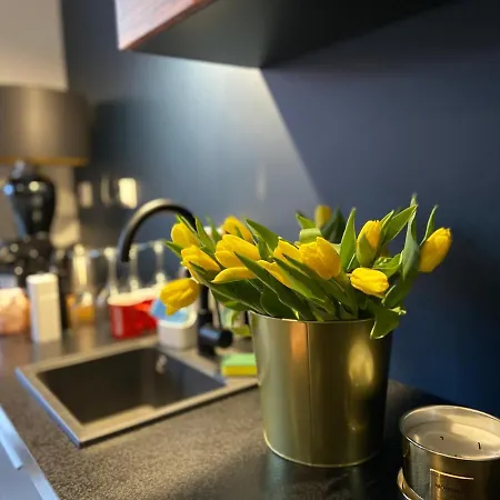 Appartement Rakowicka Superior Krakau